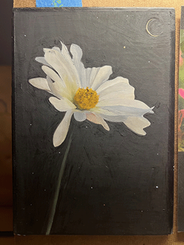 A white flower joins us as we lie by artist Robert Dean Lewis